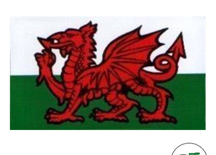 Welsh Flag Sticker - 108x65mm (Wales Sticker)